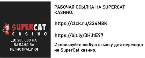 Казино supercat мобильное приложение